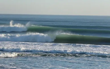 Ride the Waves in the Sunshine State: Surfing in Florida