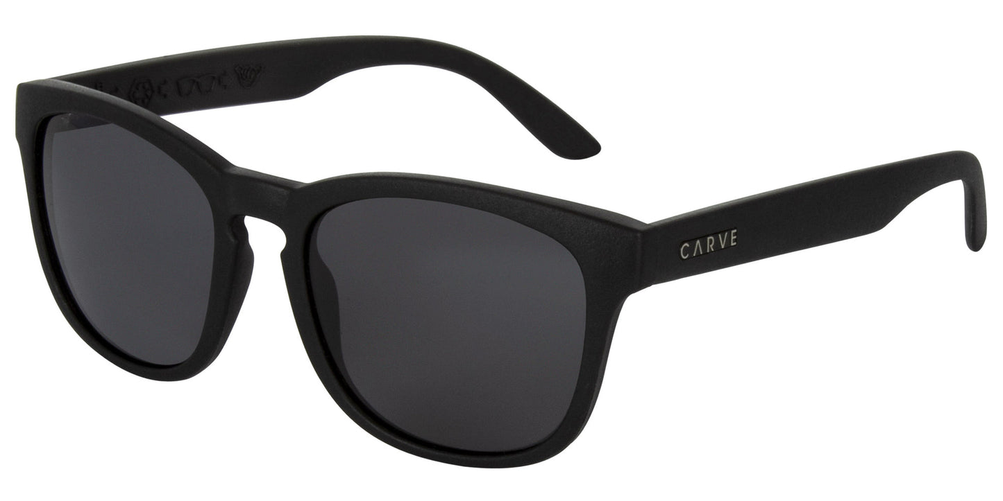Carve Sunglasses bohemia Polarized Sunglasses - AST Colors Sunglasses Matte Black Recycled